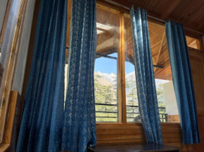 Blue Moon Homestay Kasol
